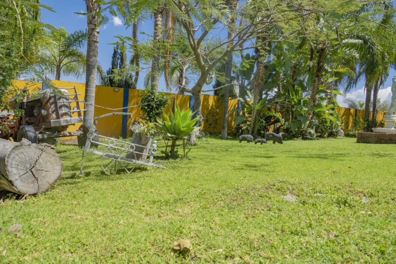 Hotel & Bungalows Las Palmas Villa Corona Exteriör bild